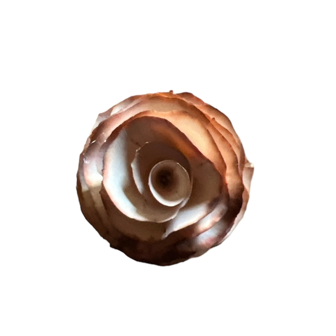 Scorched Effect Handmade Flower Diffuser Stick