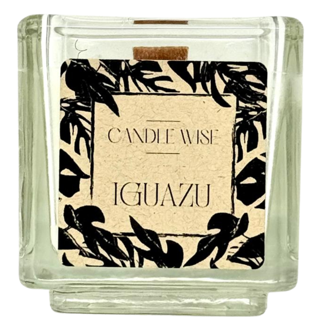 Iguazu Mini Travel Size Candle | Pure & Invigorating