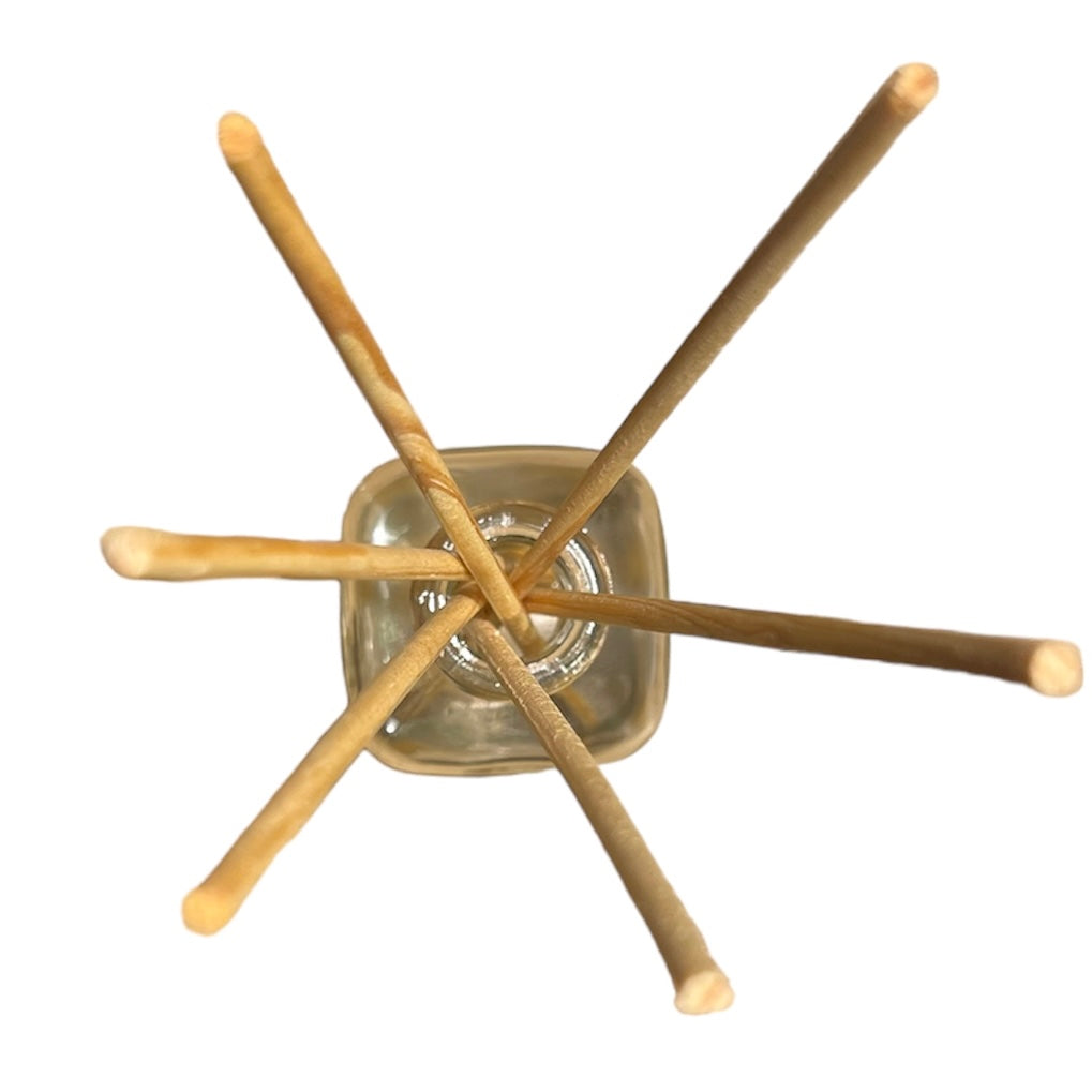 Cozumel Long Lasting Room Diffuser | Aromatic and Uplifting