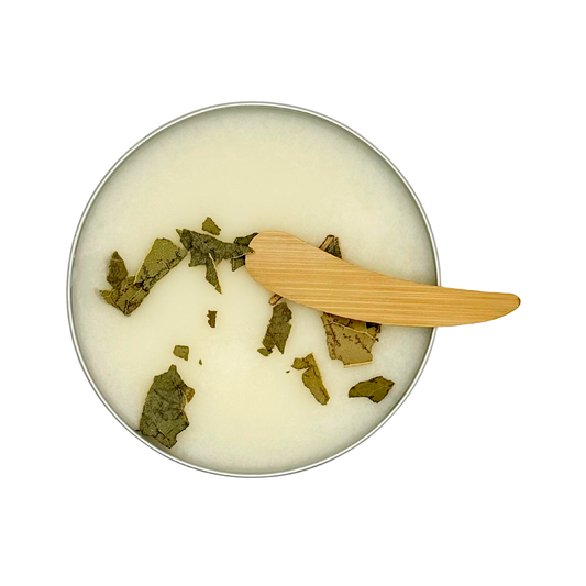 Candle Wise New York at Christmas scoopable wax melt tin topped with botanical leaves and wooden spoon