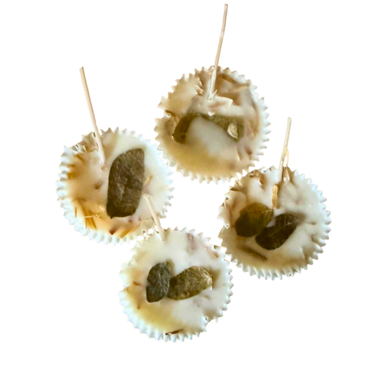 Candle Wise Natural Fire Starters