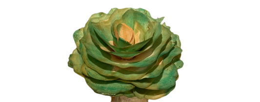 Ombré Green wooden flower string