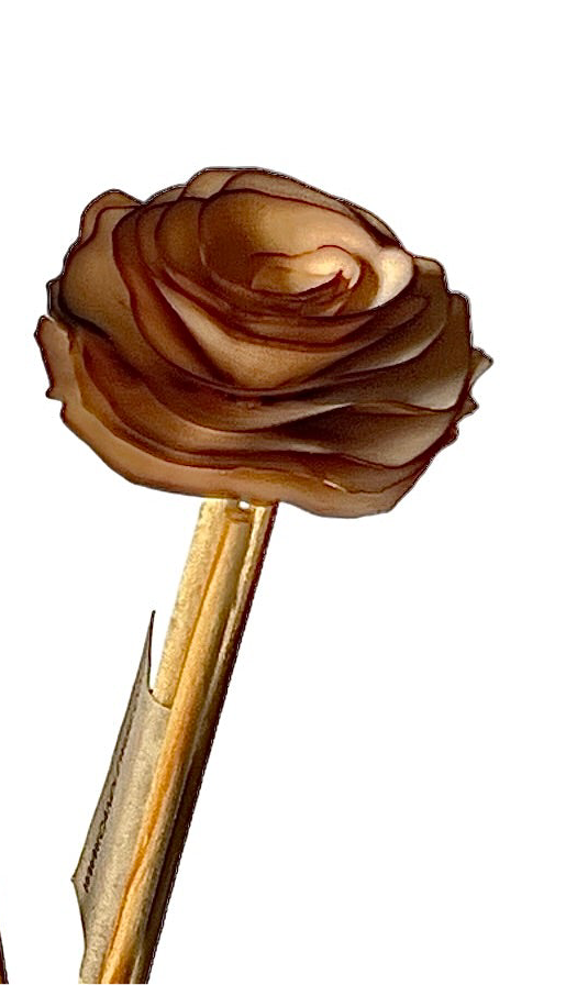 Scorched Effect Handmade Flower Diffuser Stick