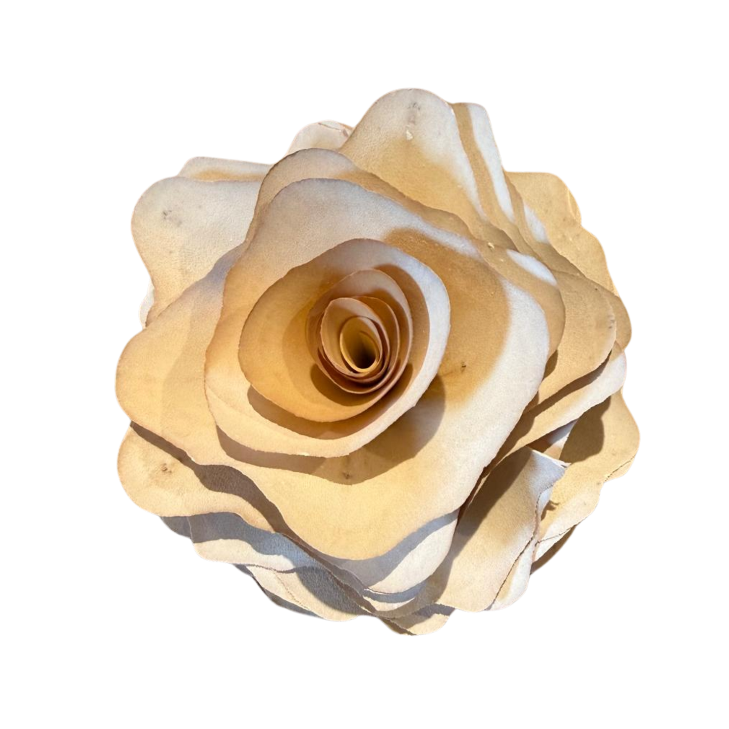 Ombre Off White | Wooden Flower String