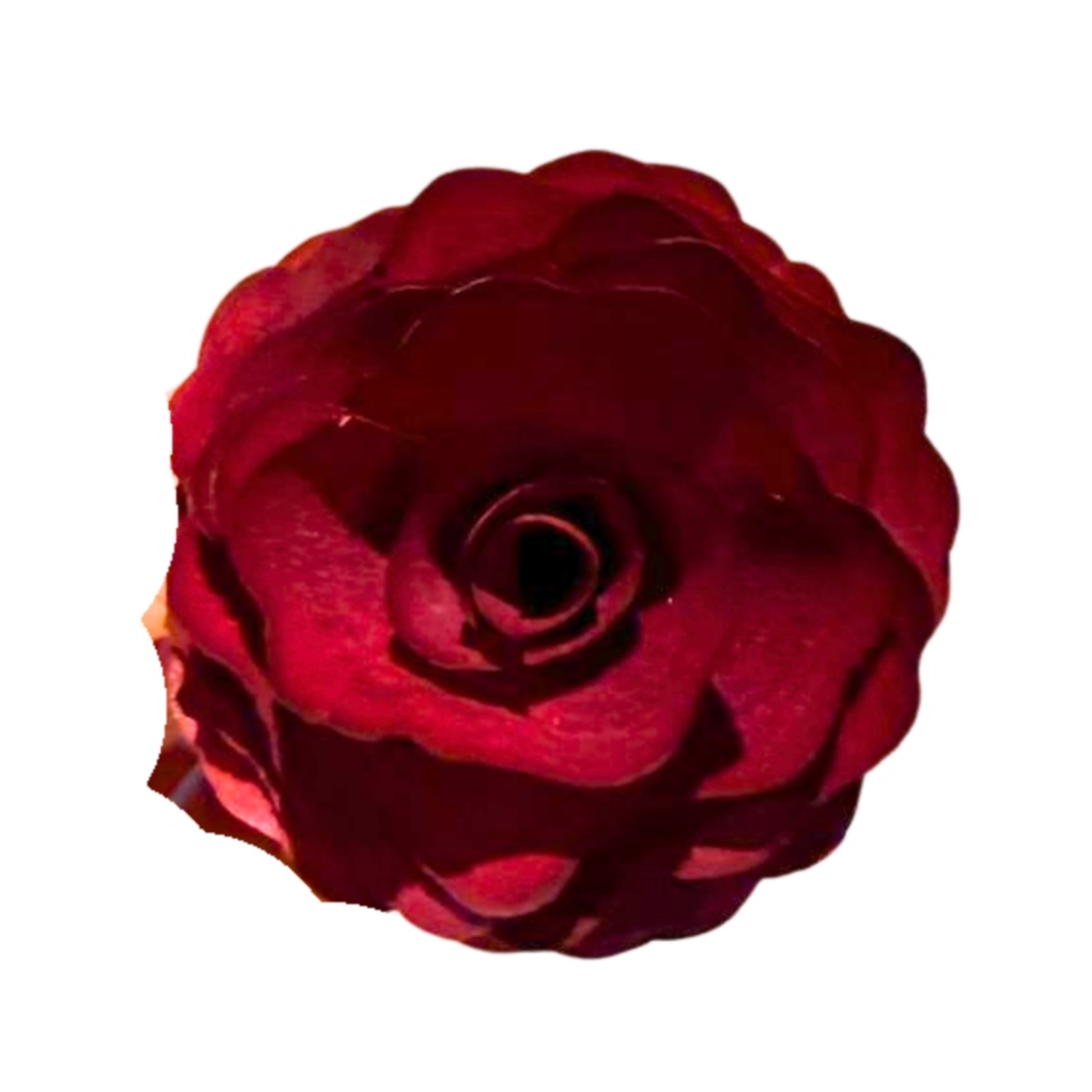 Burgundy handcrafted wooden flower diffuser stick on a white background
